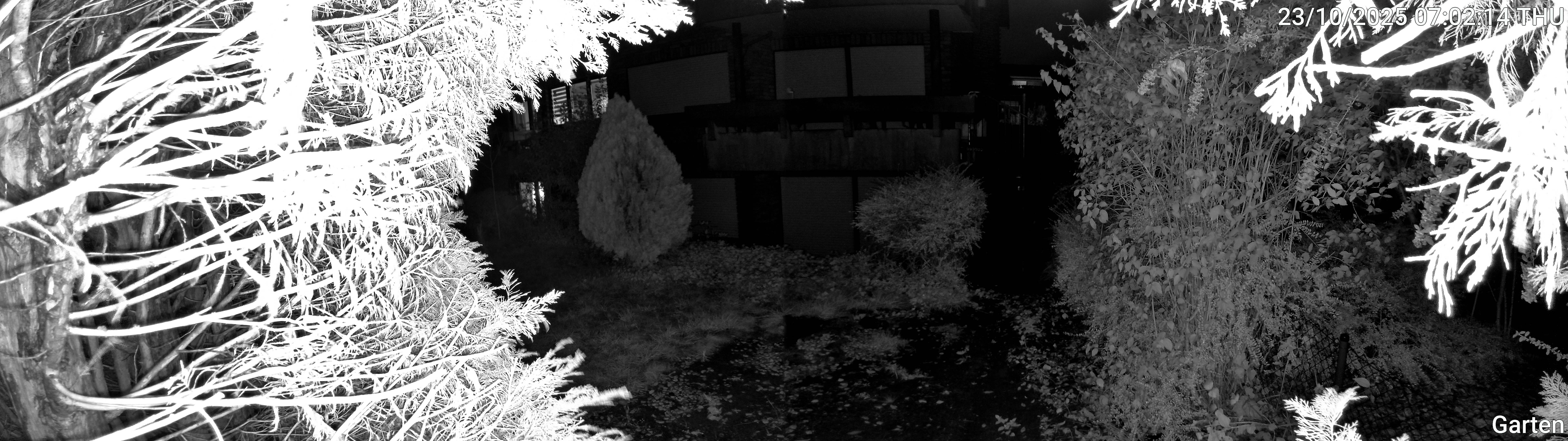 Garten_00_20251023070215.jpg