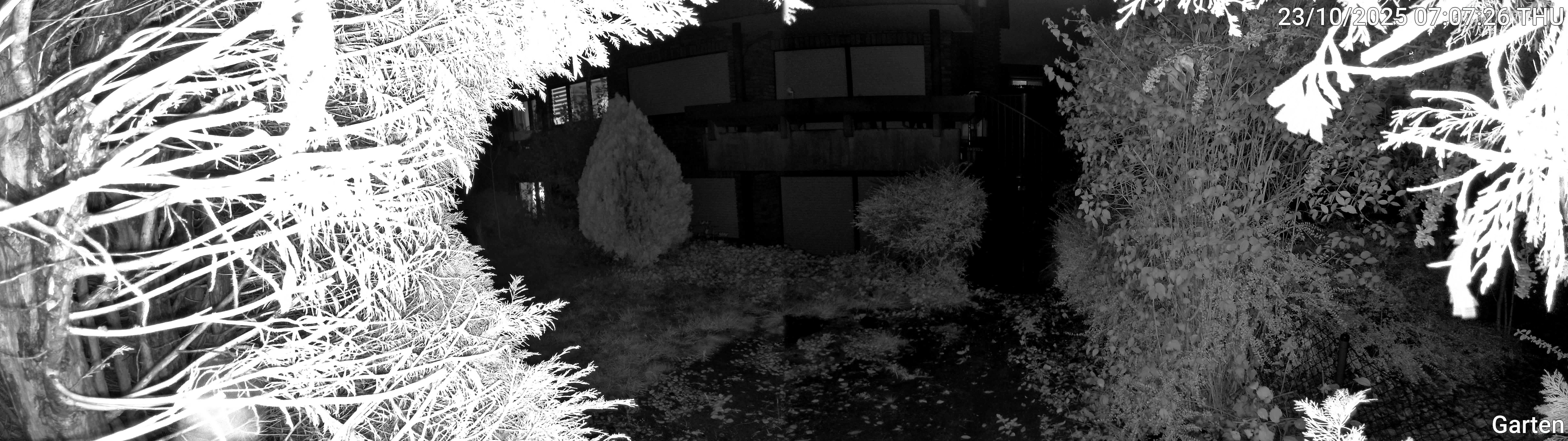 Garten_00_20251023070726.jpg