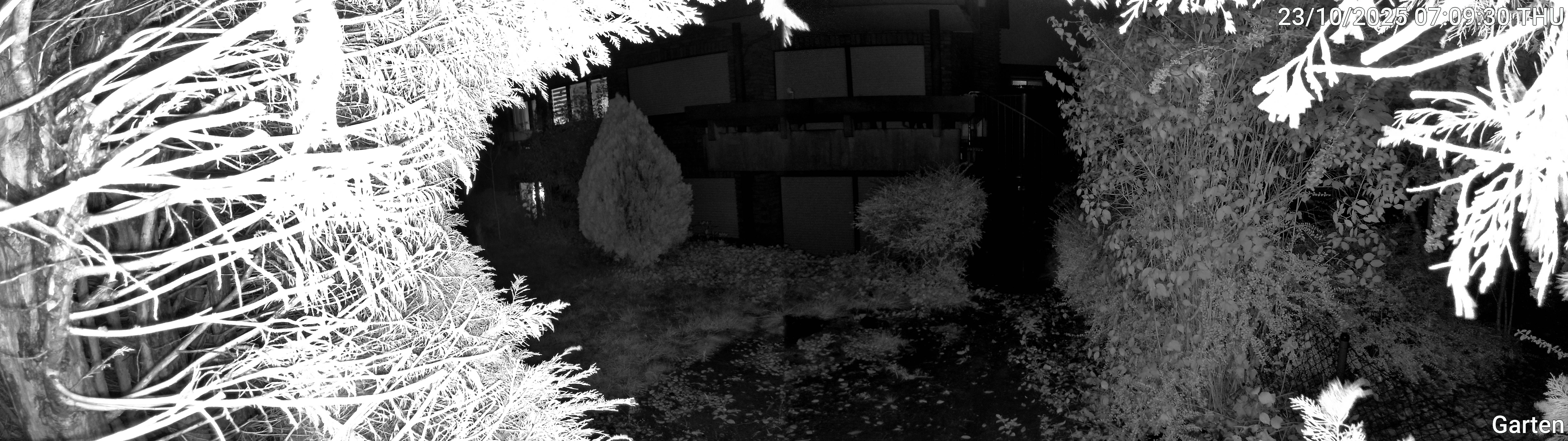 Garten_00_20251023070930.jpg