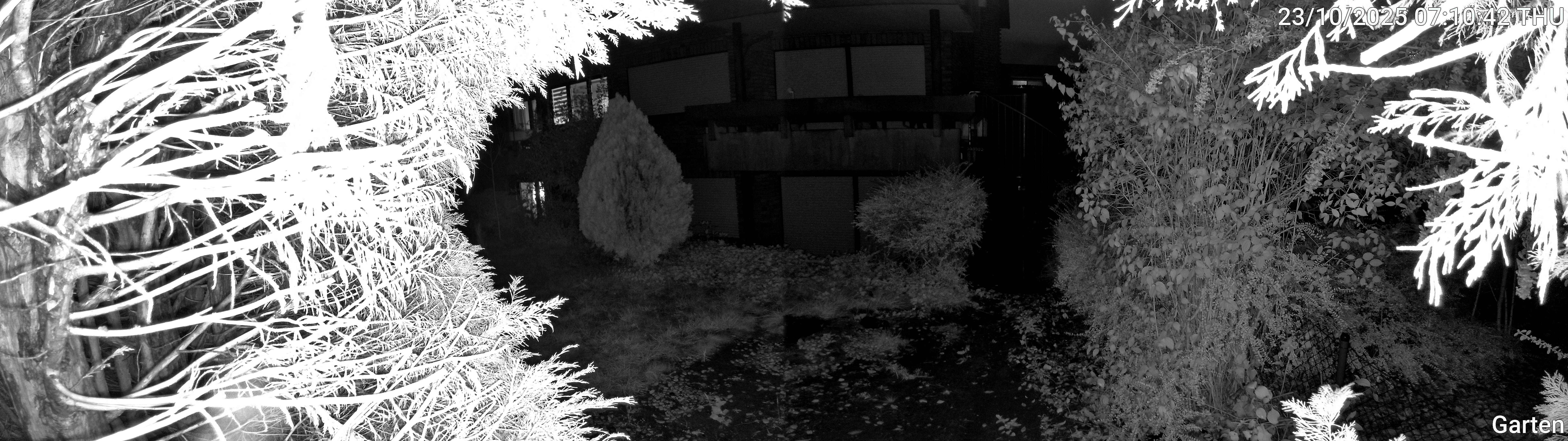 Garten_00_20251023071043.jpg