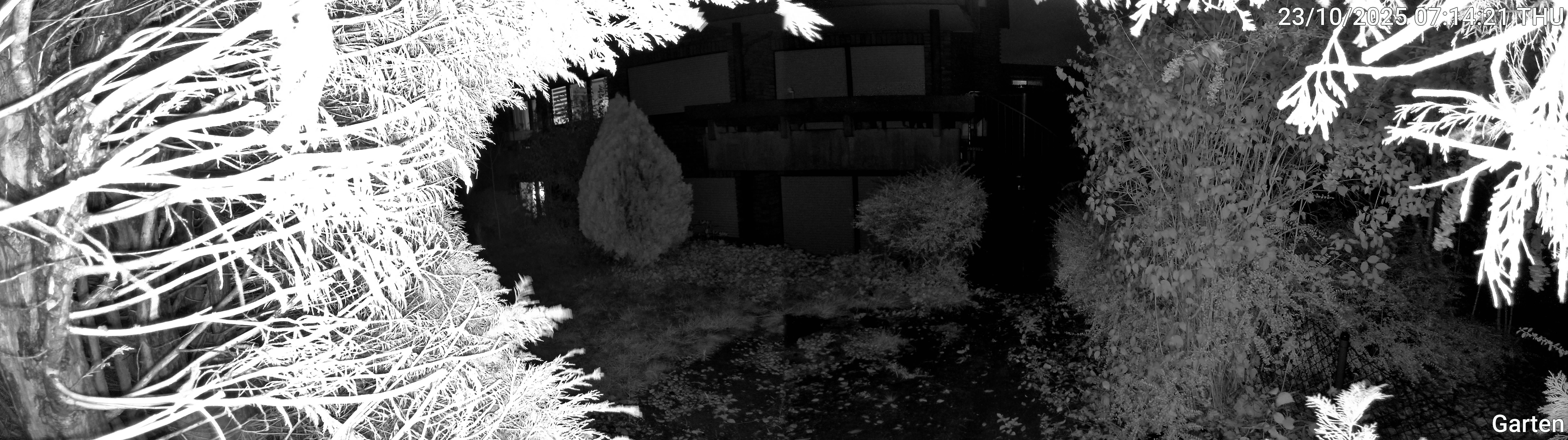 Garten_00_20251023071421.jpg