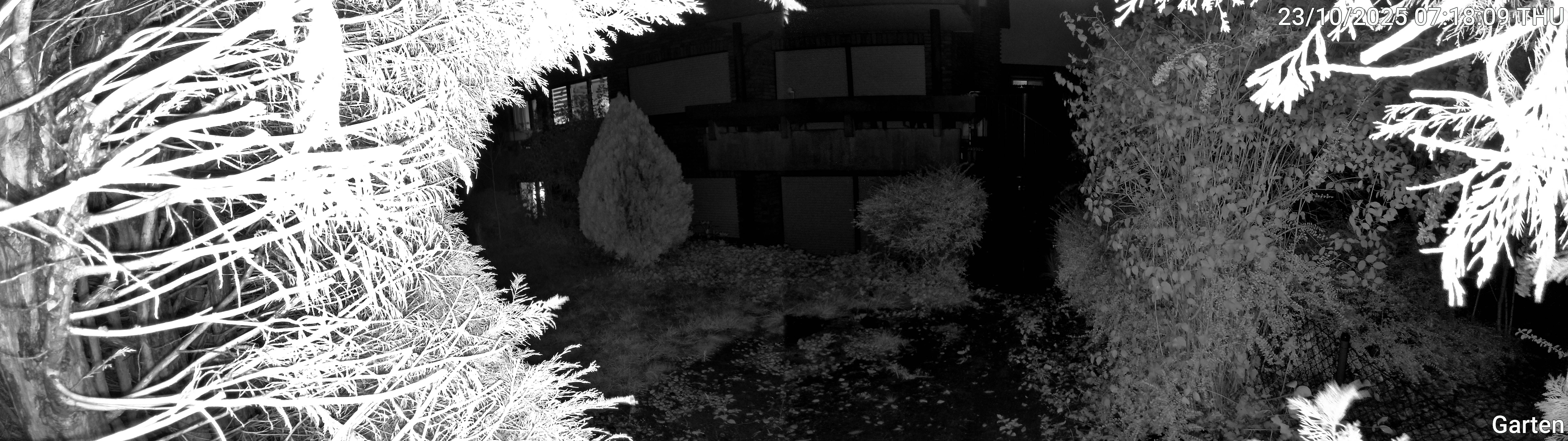 Garten_00_20251023071809.jpg