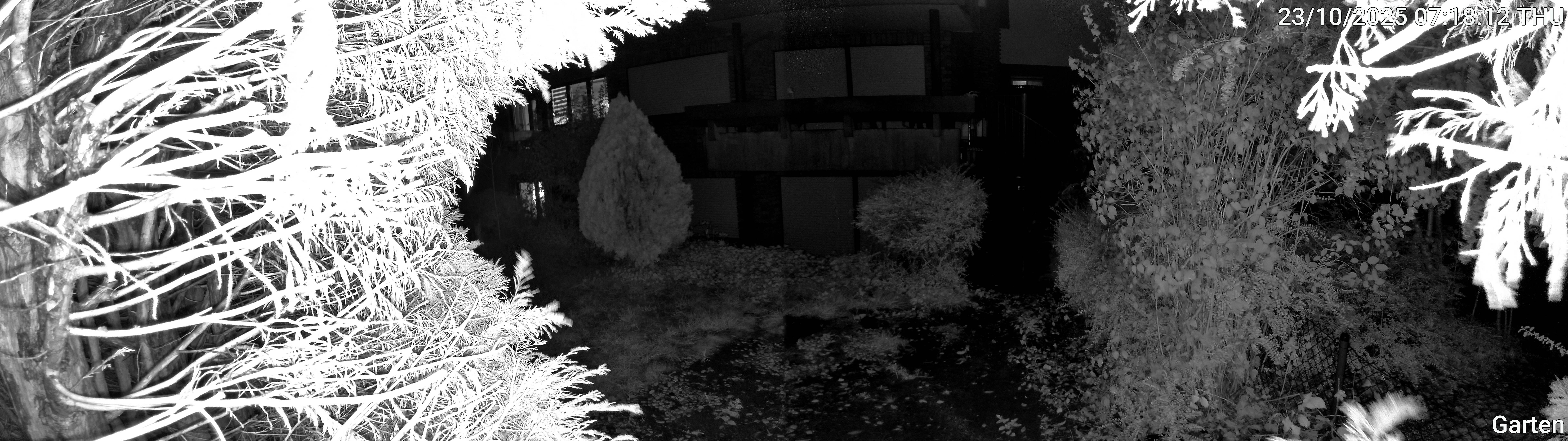 Garten_00_20251023071812.jpg