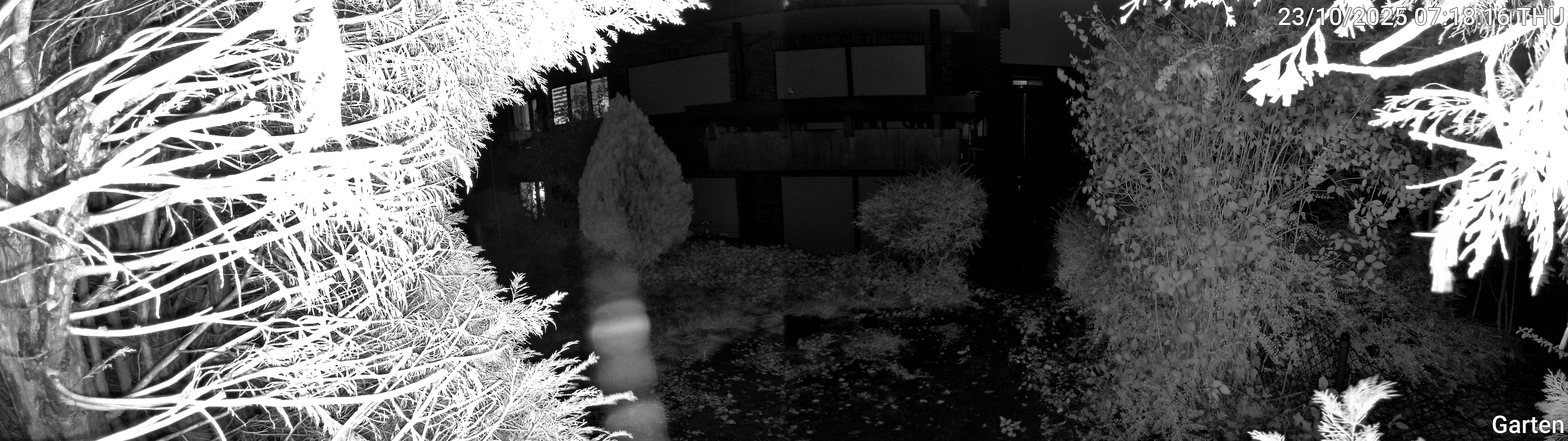 Garten_00_20251023071816.jpg