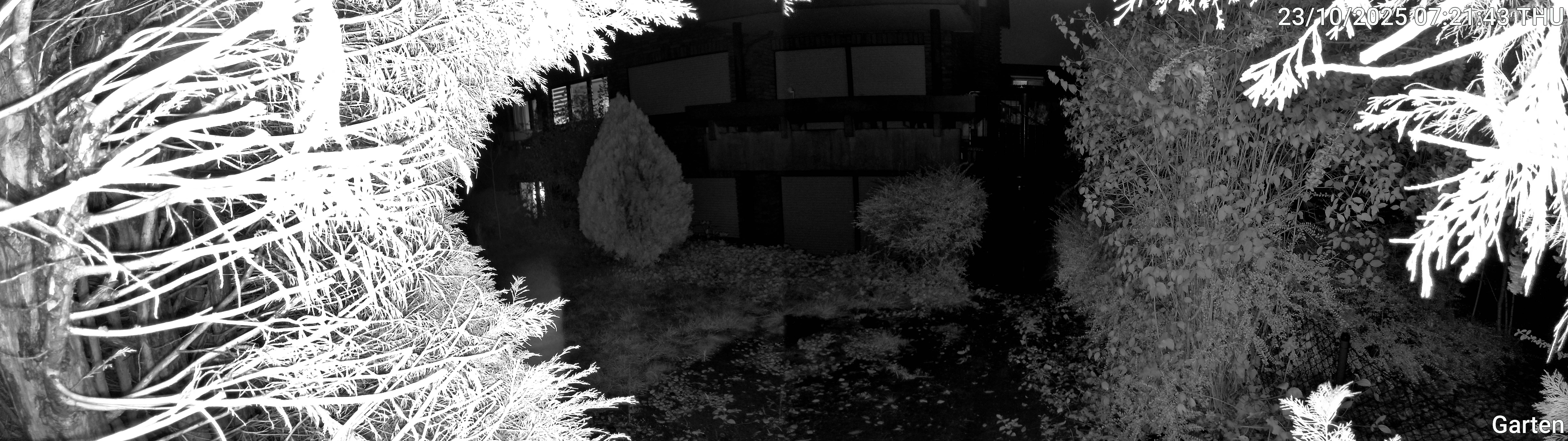 Garten_00_20251023072143.jpg