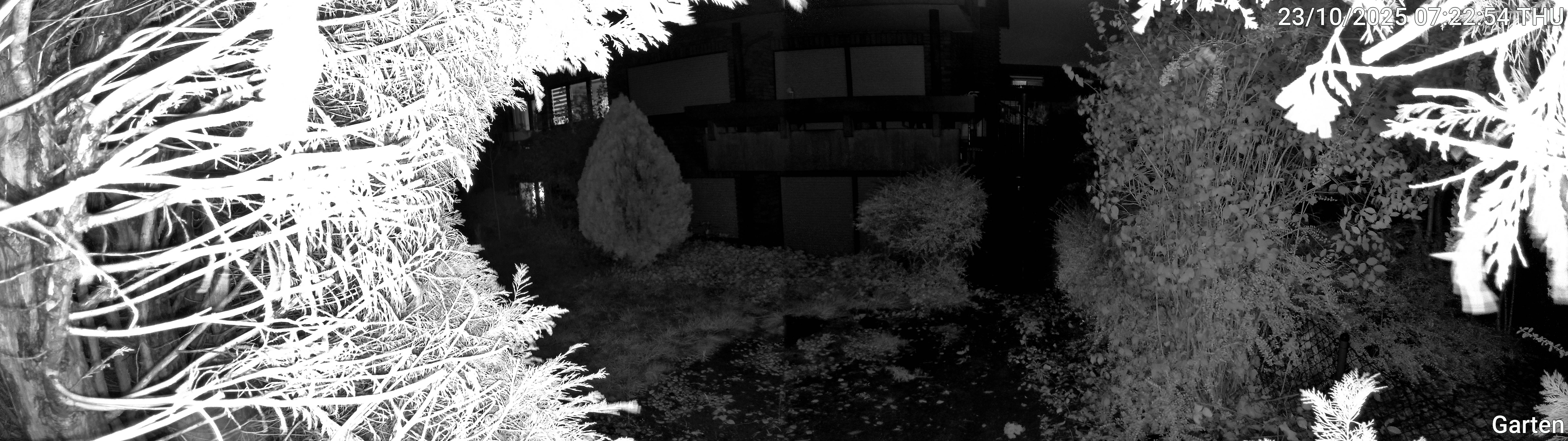 Garten_00_20251023072254.jpg