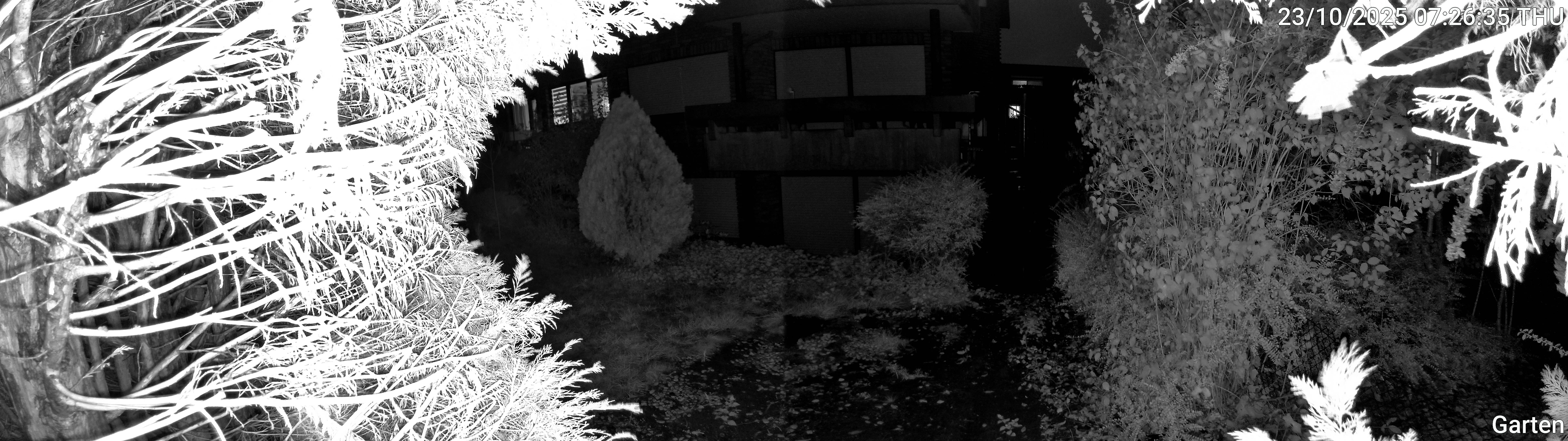 Garten_00_20251023072635.jpg