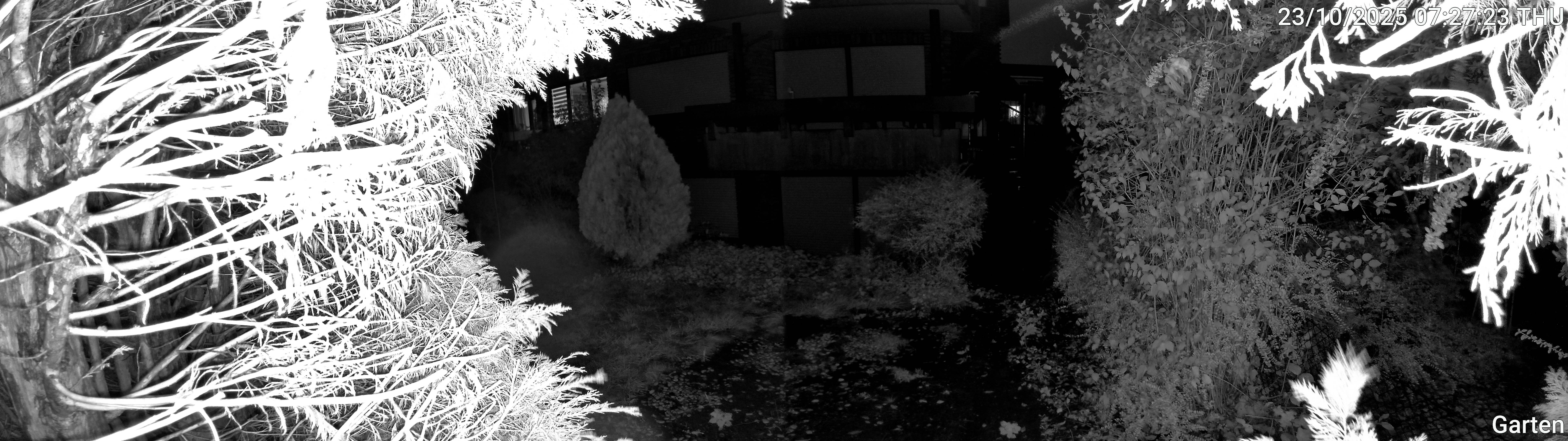Garten_00_20251023072723.jpg