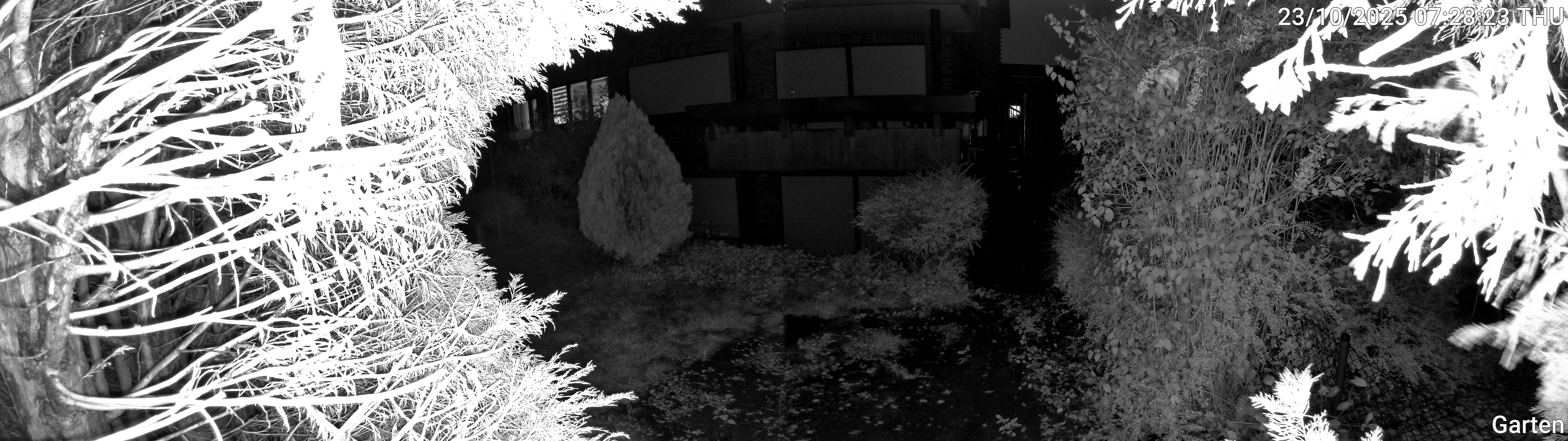Garten_00_20251023072823.jpg