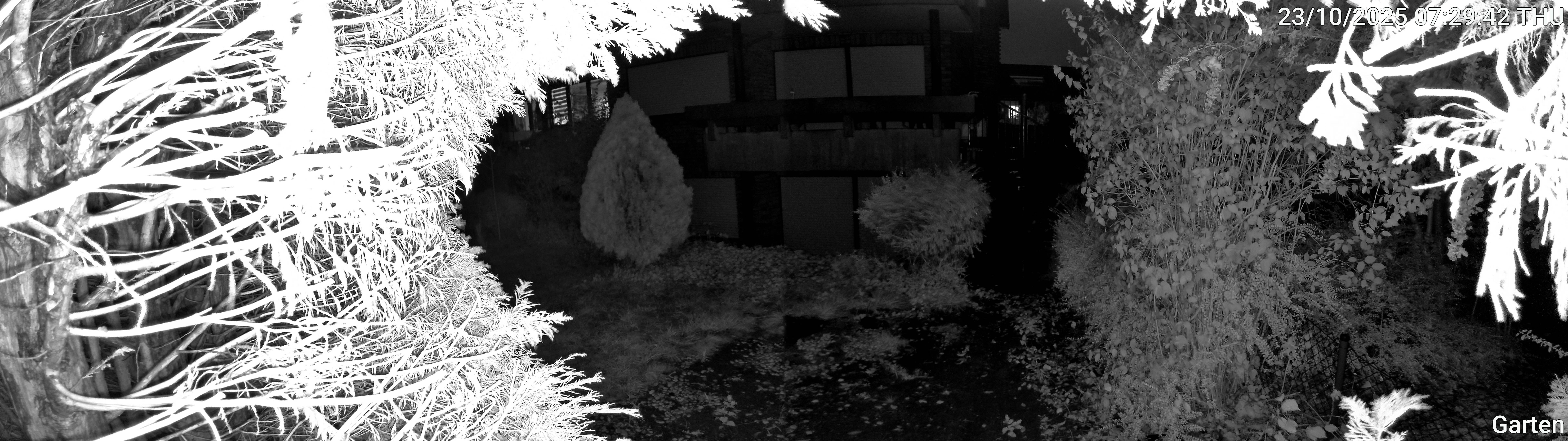 Garten_00_20251023072942.jpg