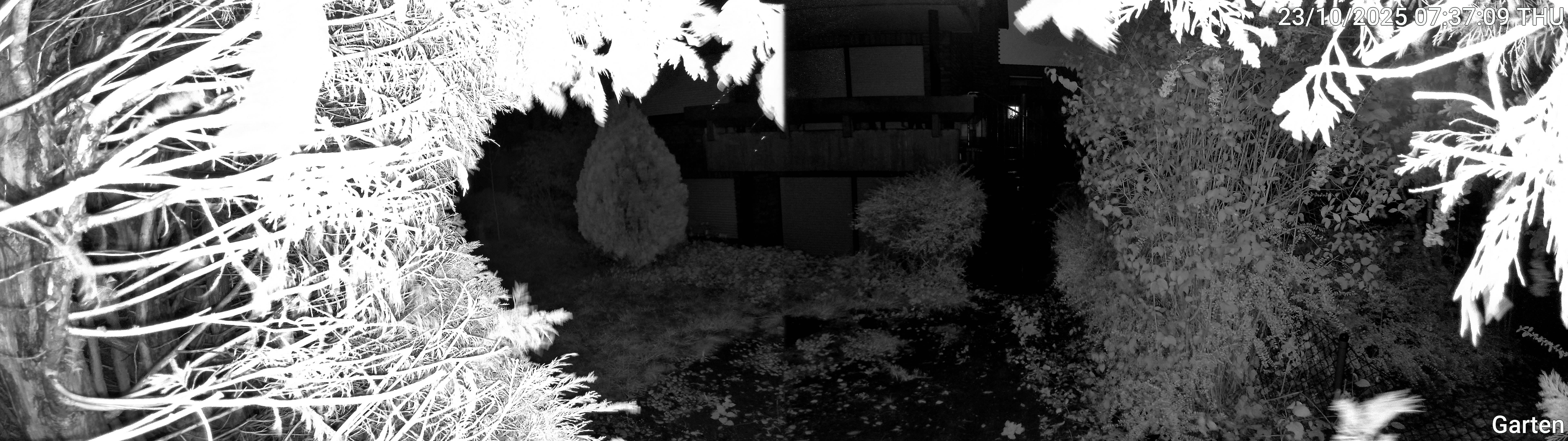 Garten_00_20251023073709.jpg