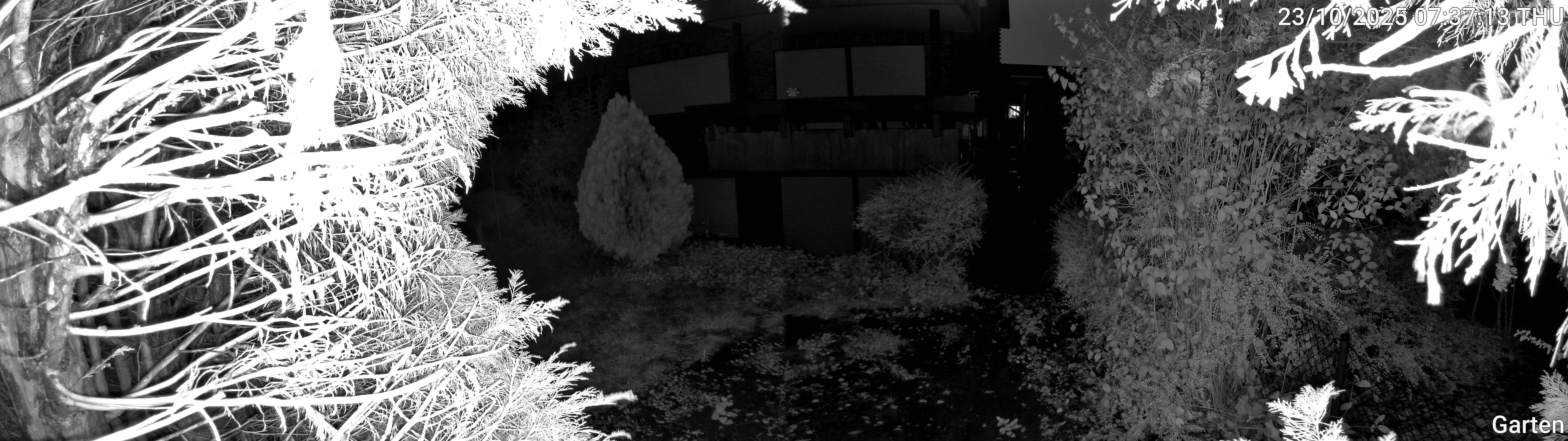 Garten_00_20251023073713.jpg