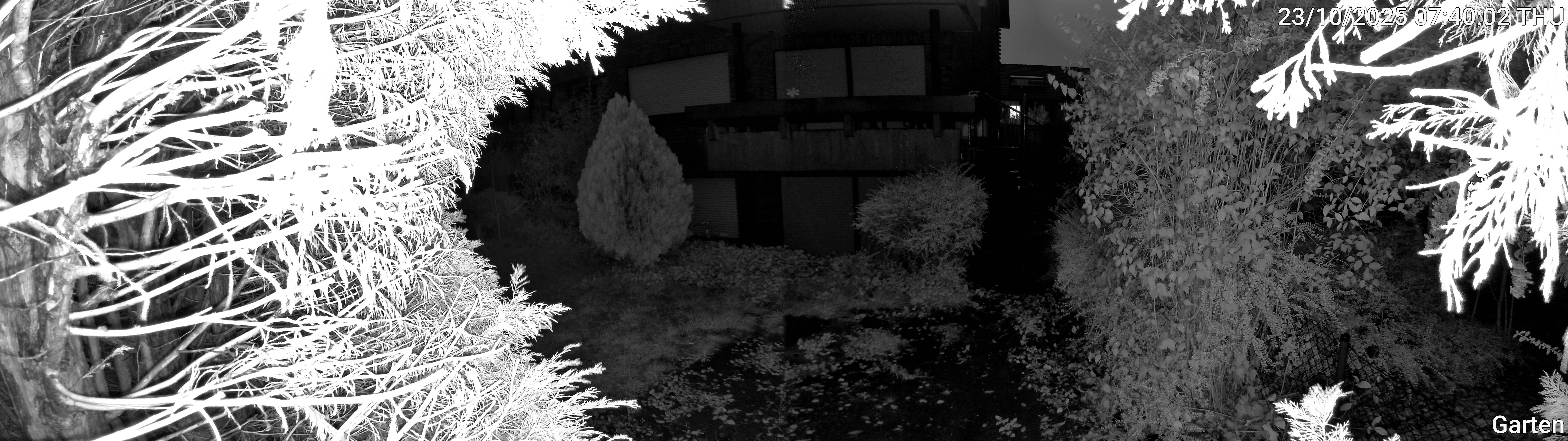 Garten_00_20251023074002.jpg