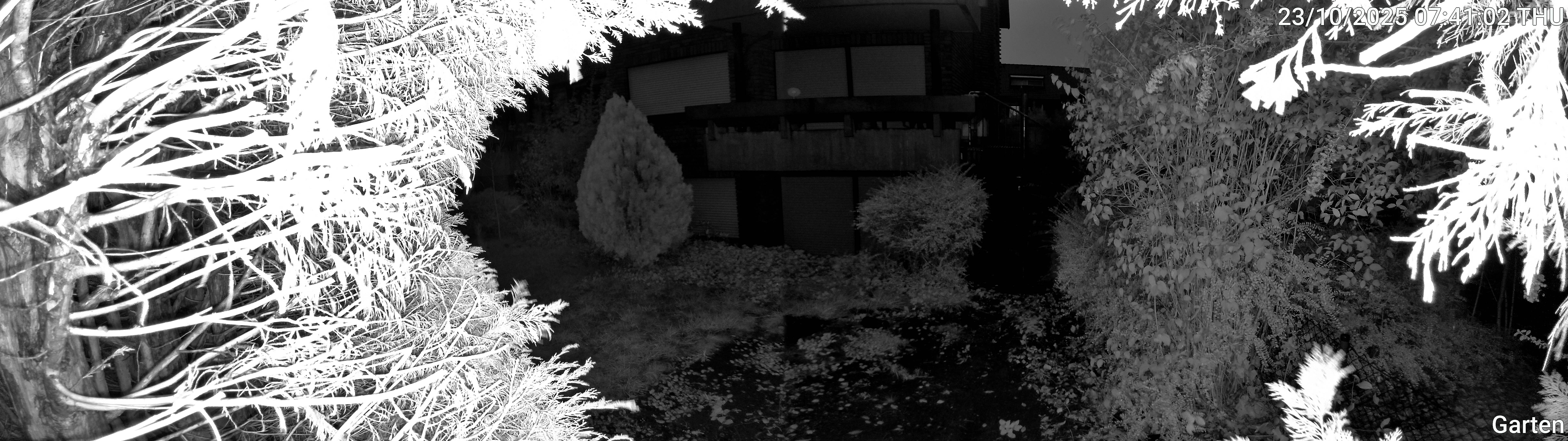 Garten_00_20251023074102.jpg