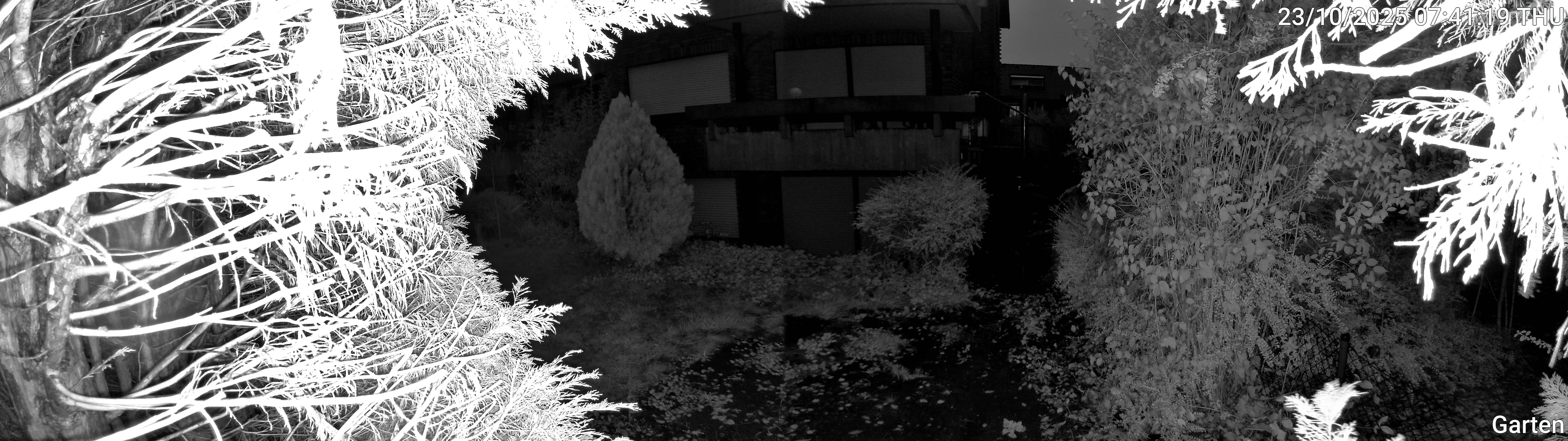 Garten_00_20251023074119.jpg