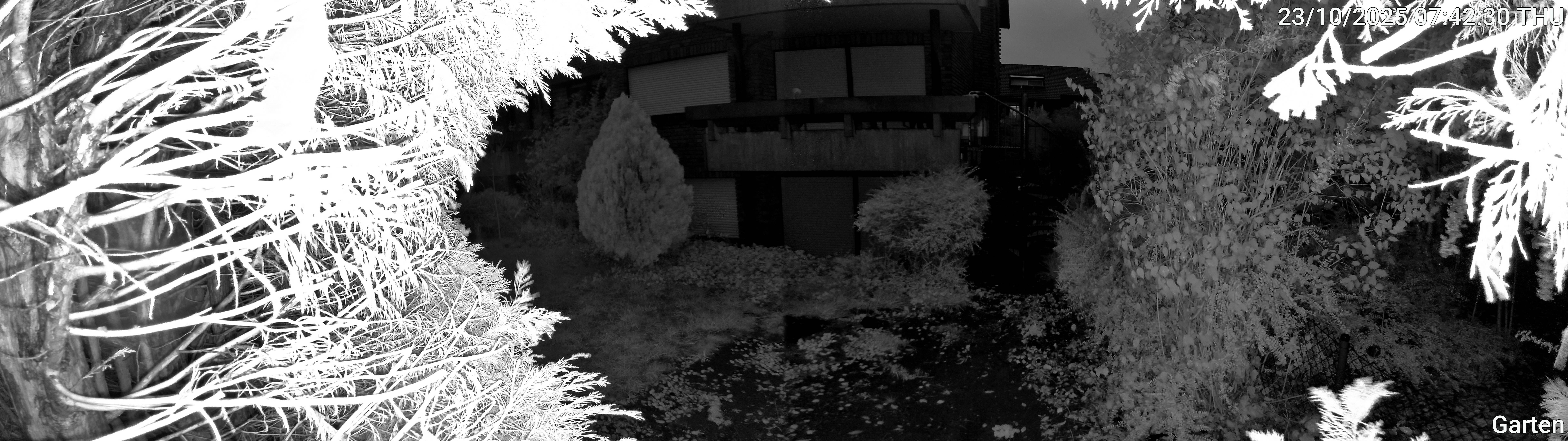 Garten_00_20251023074231.jpg