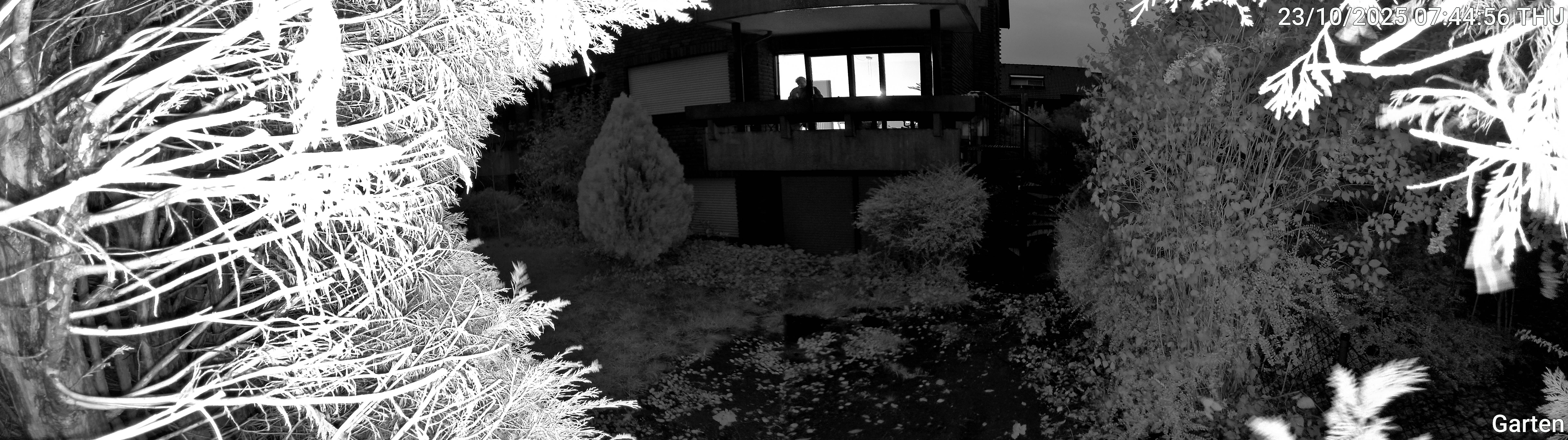 Garten_00_20251023074456.jpg