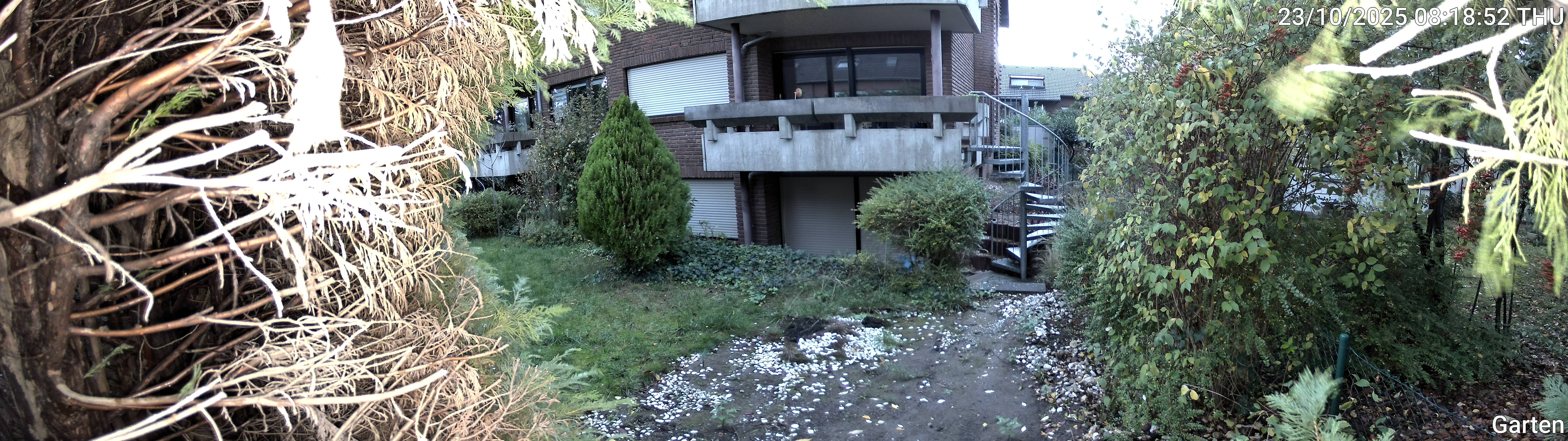Garten_00_20251023081852.jpg
