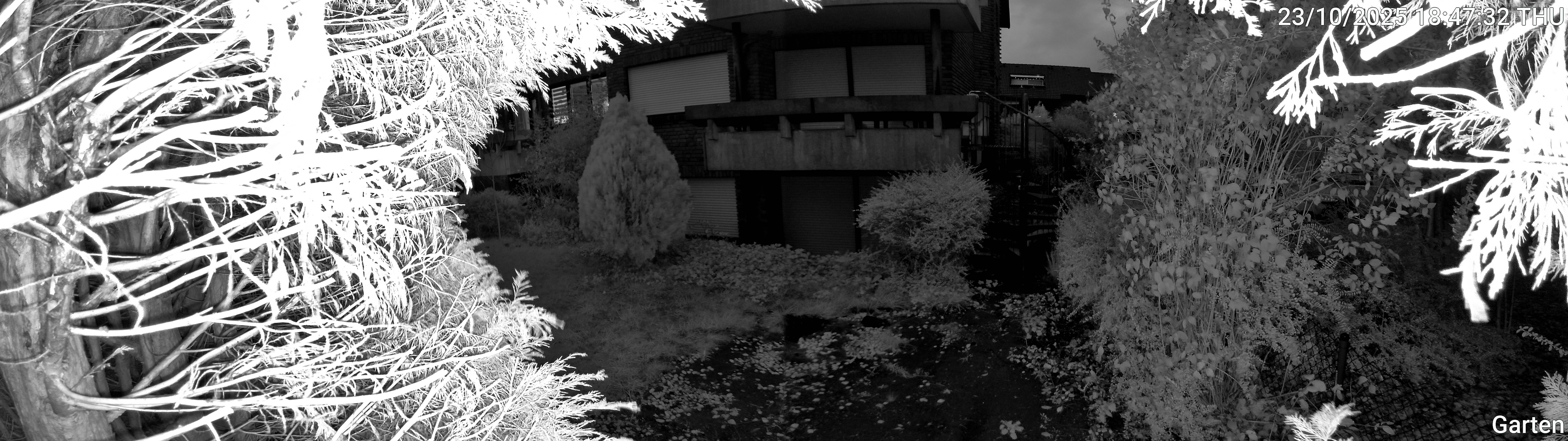 Garten_00_20251023184732.jpg