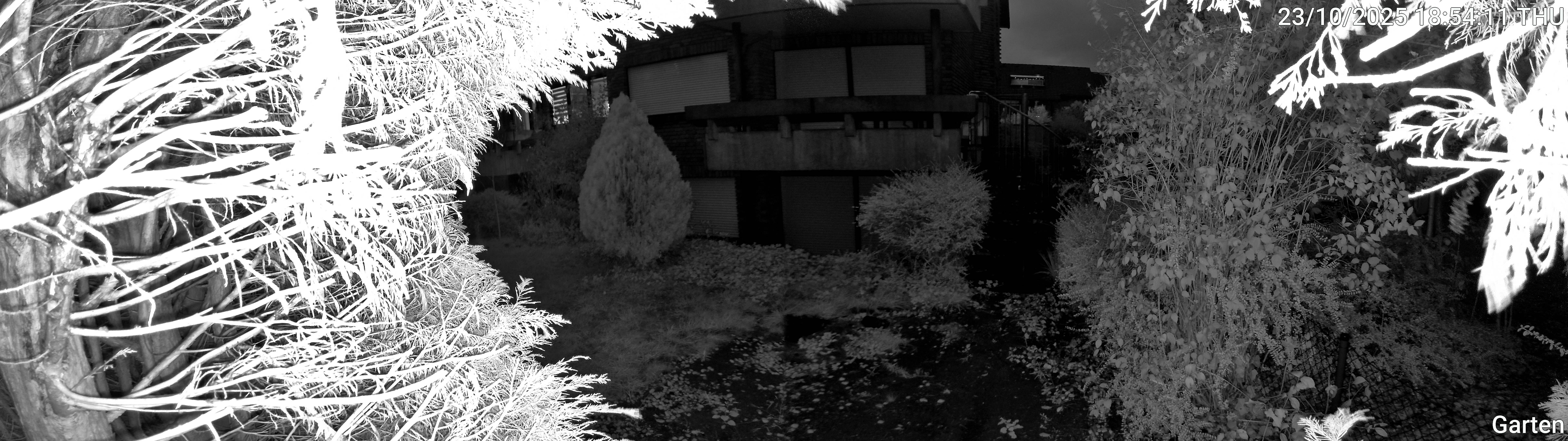 Garten_00_20251023185411.jpg