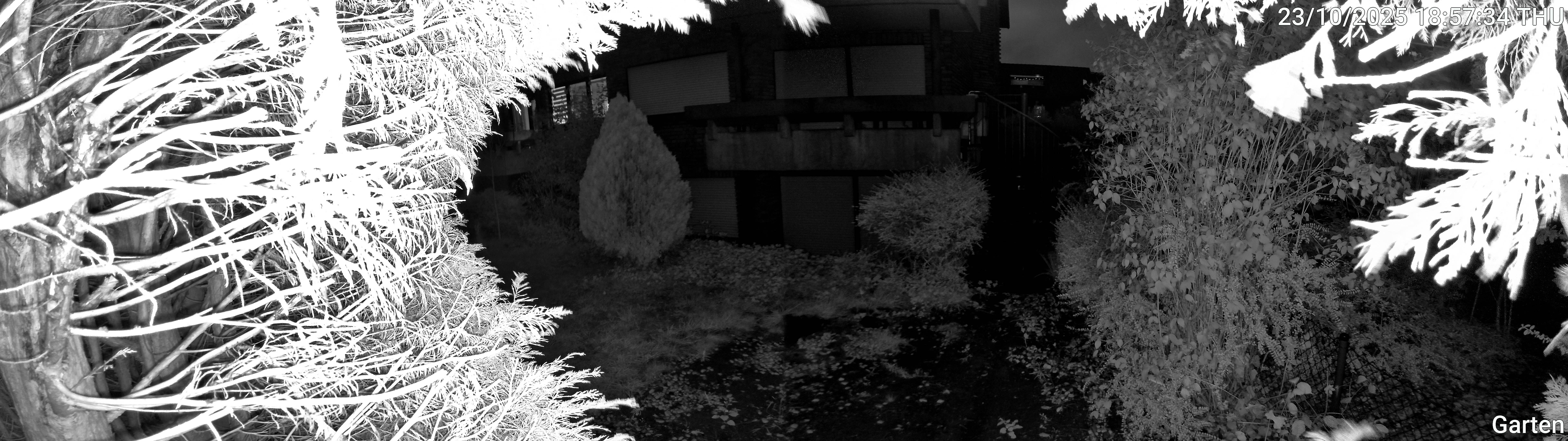 Garten_00_20251023185734.jpg