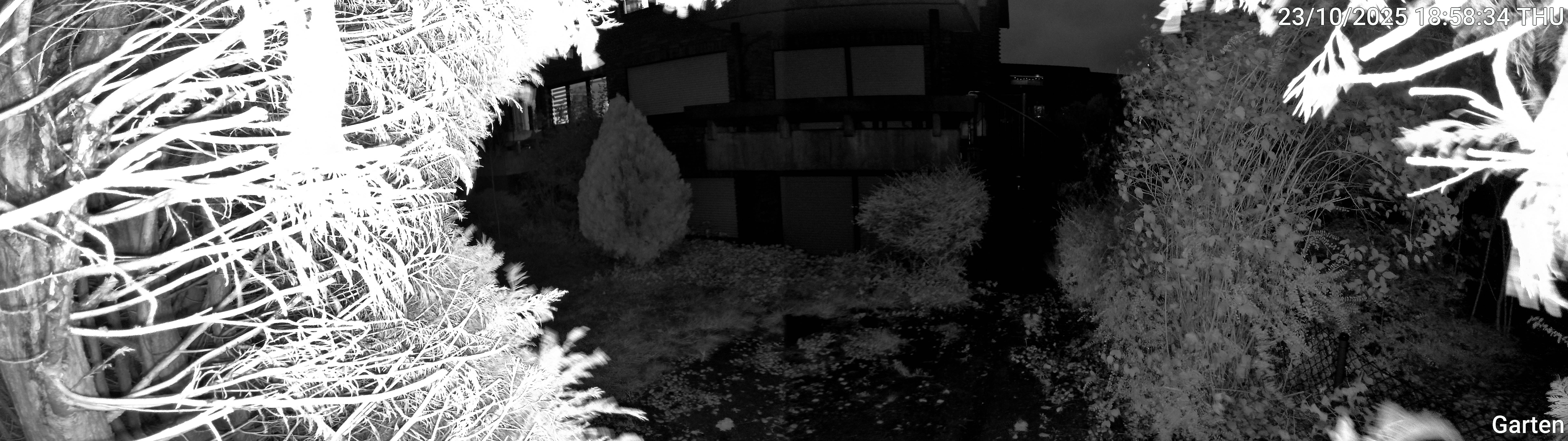 Garten_00_20251023185834.jpg