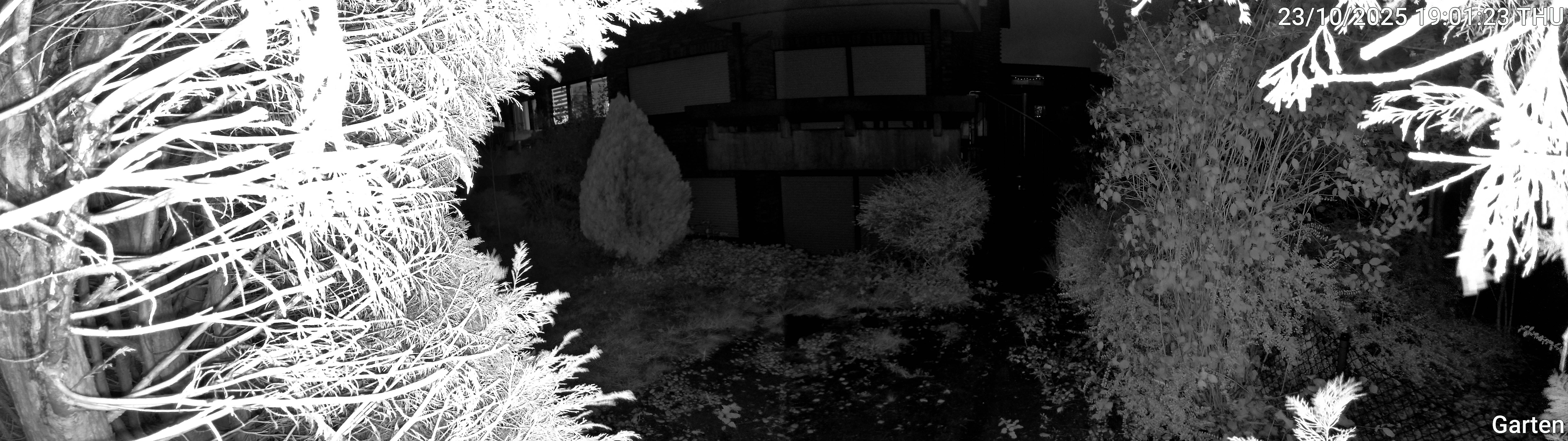 Garten_00_20251023190123.jpg