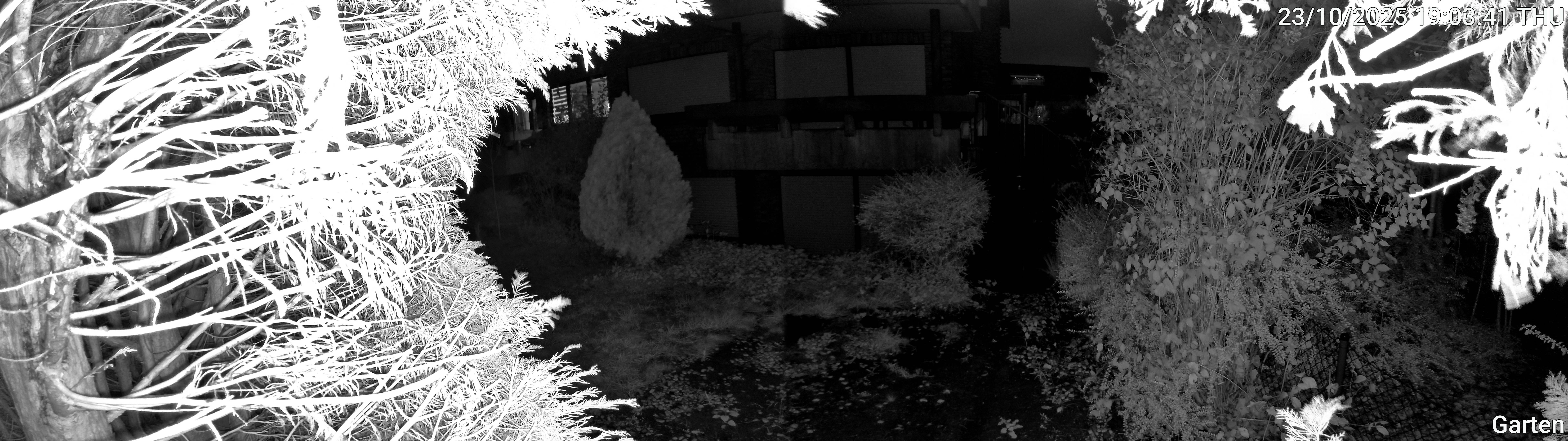 Garten_00_20251023190341.jpg