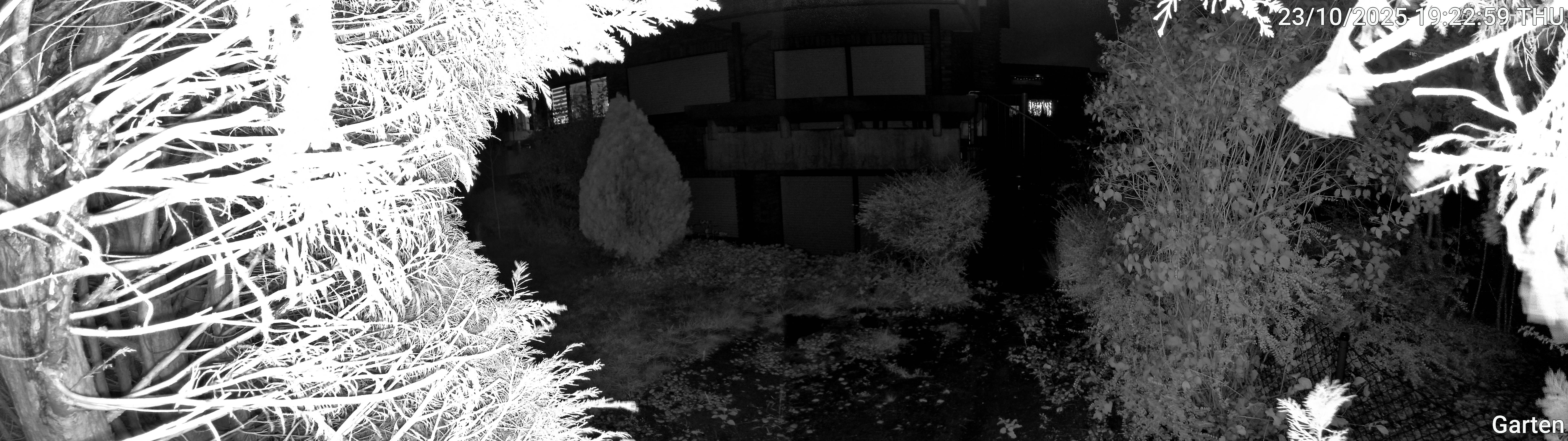 Garten_00_20251023192259.jpg