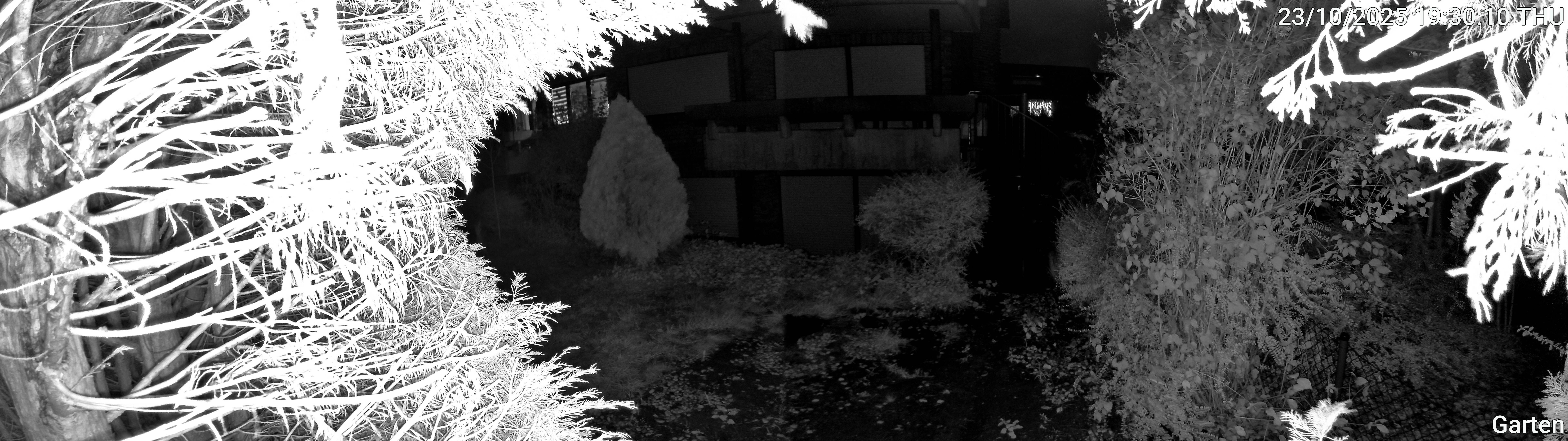Garten_00_20251023193010.jpg