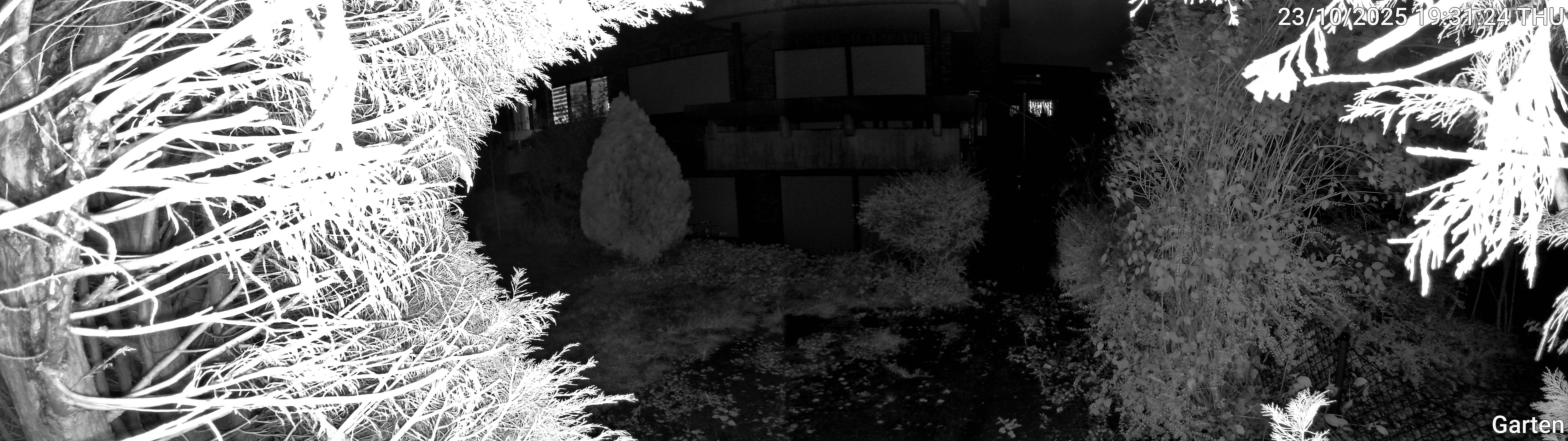 Garten_00_20251023193124.jpg