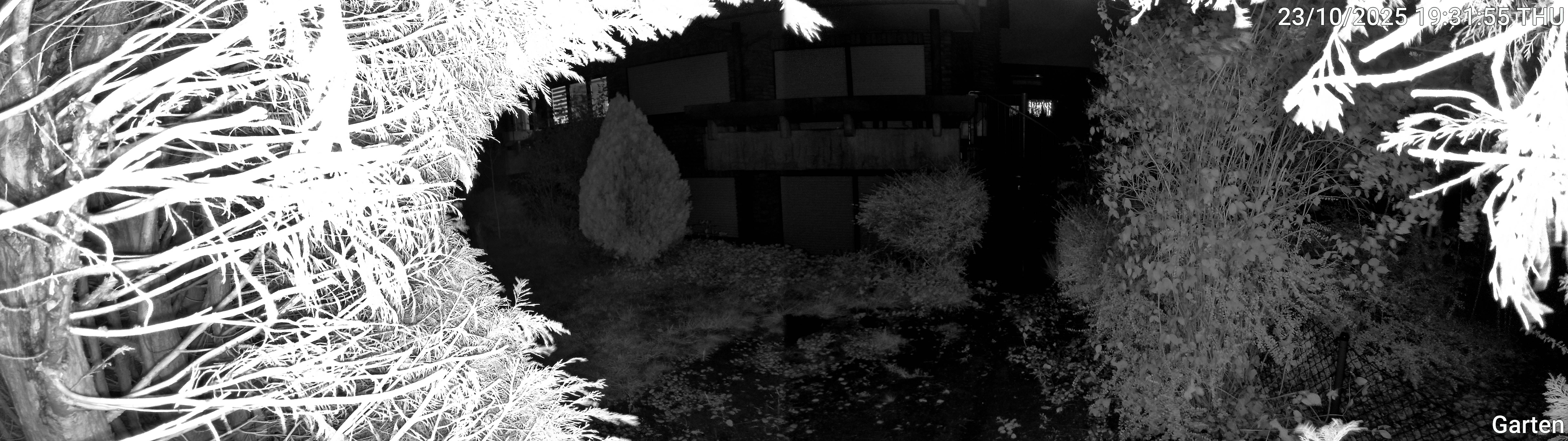 Garten_00_20251023193155.jpg