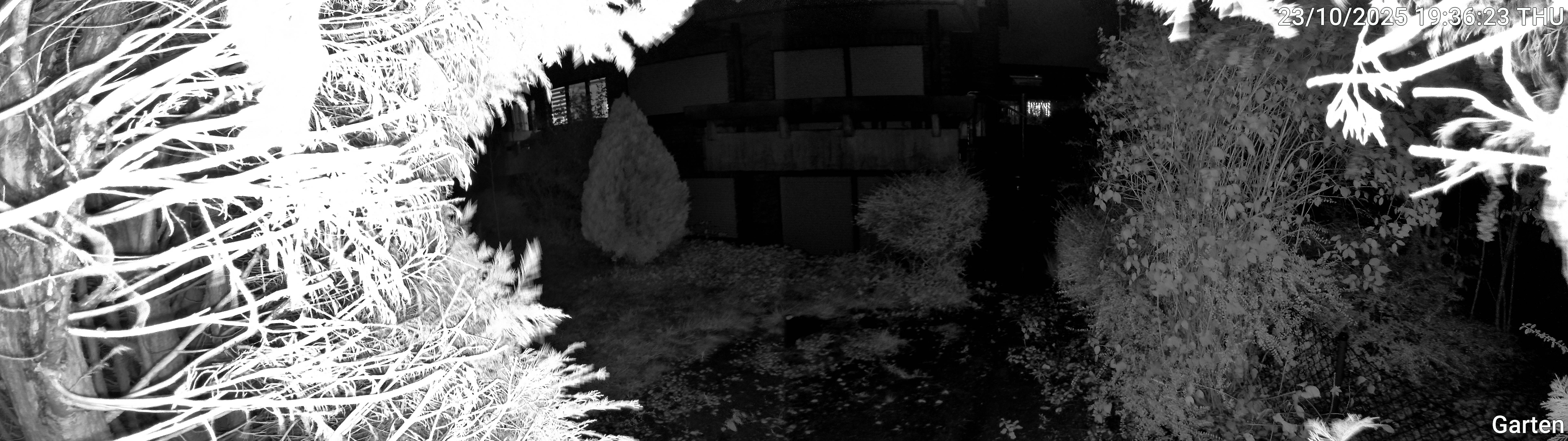 Garten_00_20251023193623.jpg