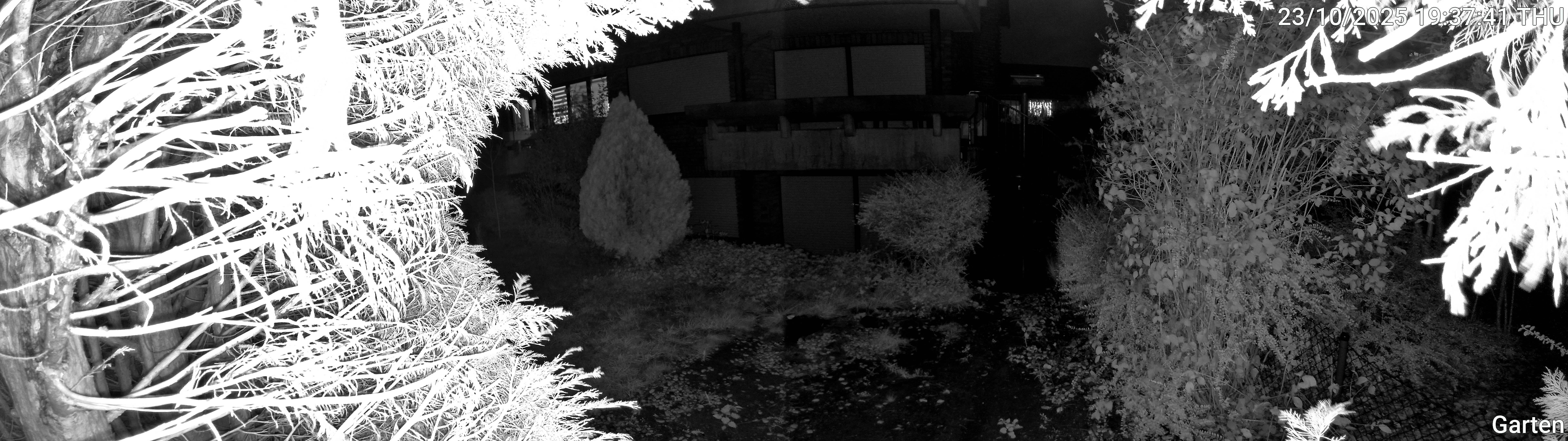 Garten_00_20251023193741.jpg