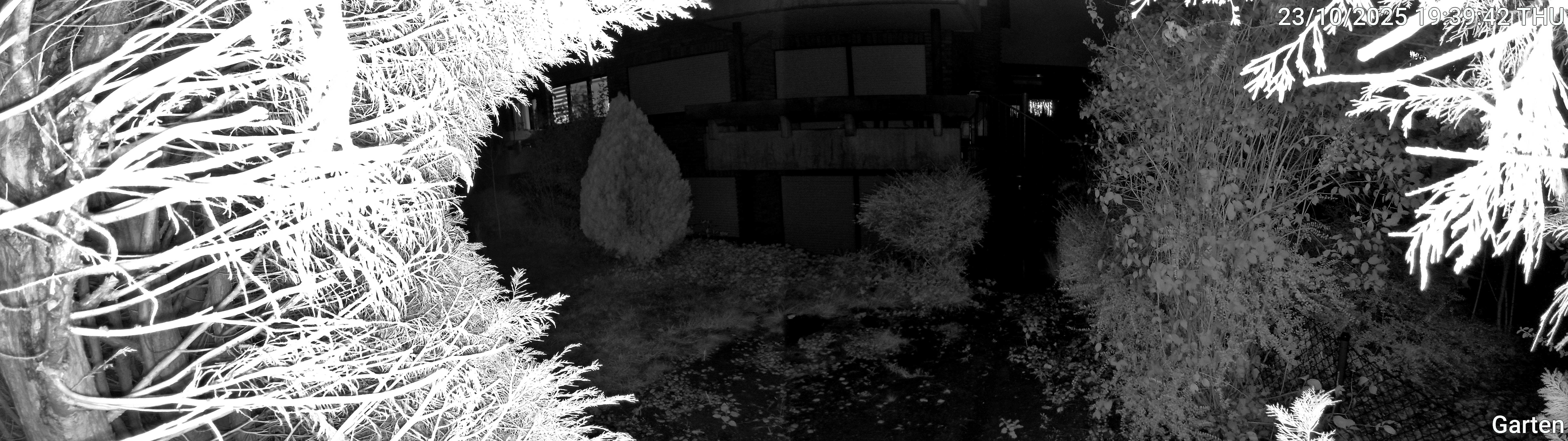 Garten_00_20251023193942.jpg