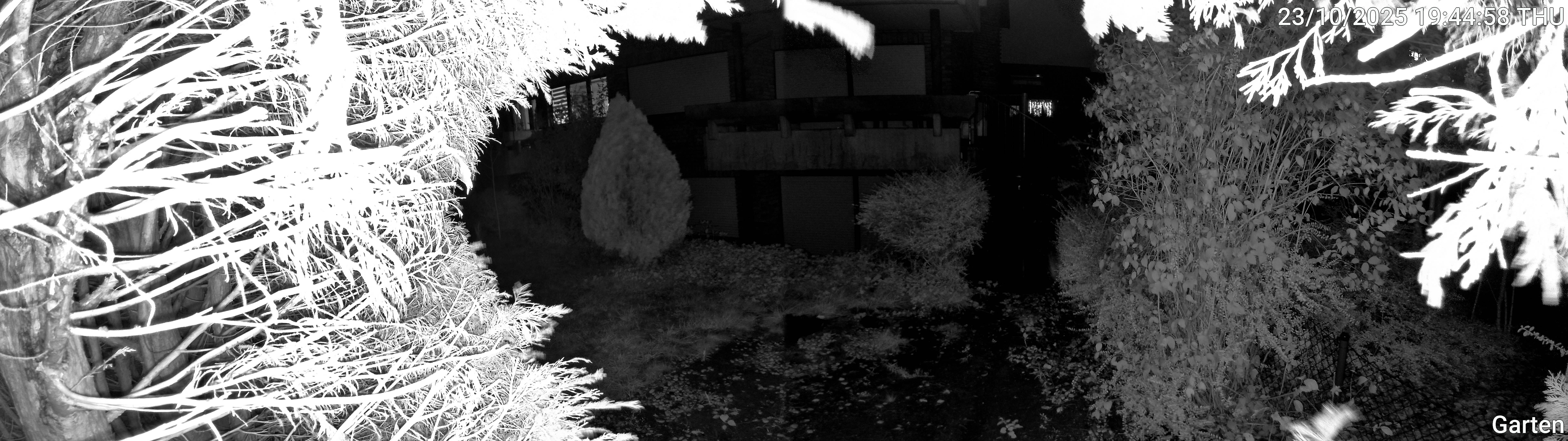 Garten_00_20251023194458.jpg