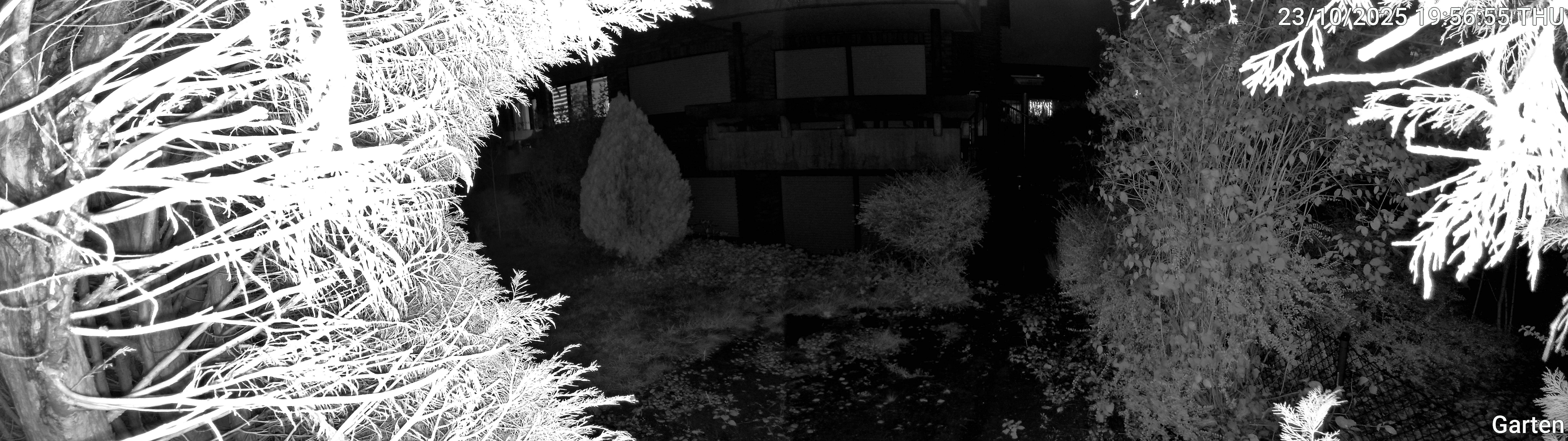 Garten_00_20251023195655.jpg