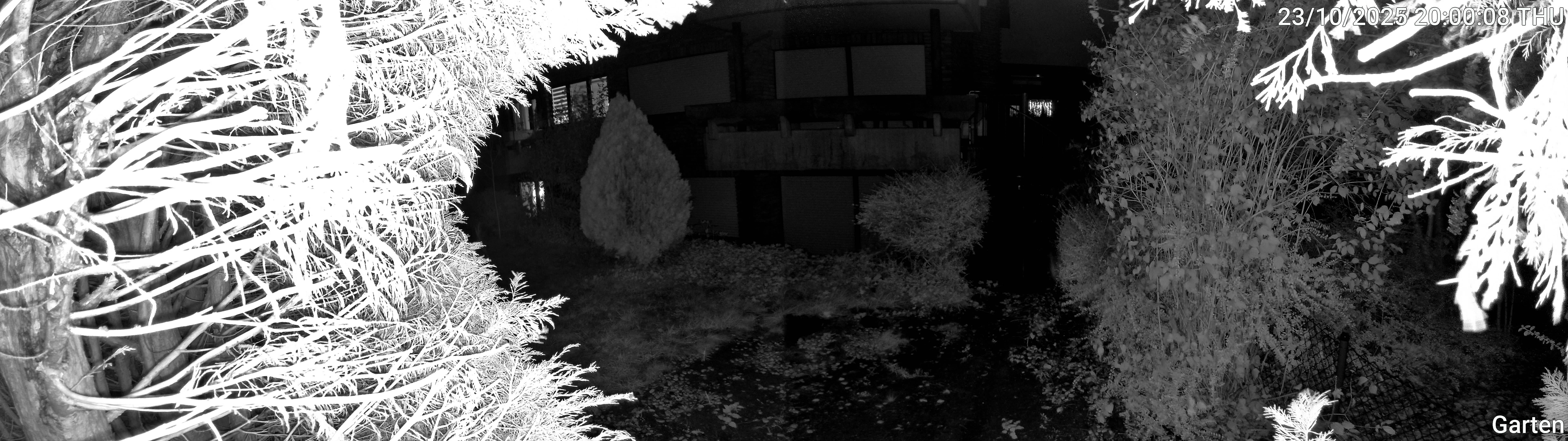Garten_00_20251023200009.jpg