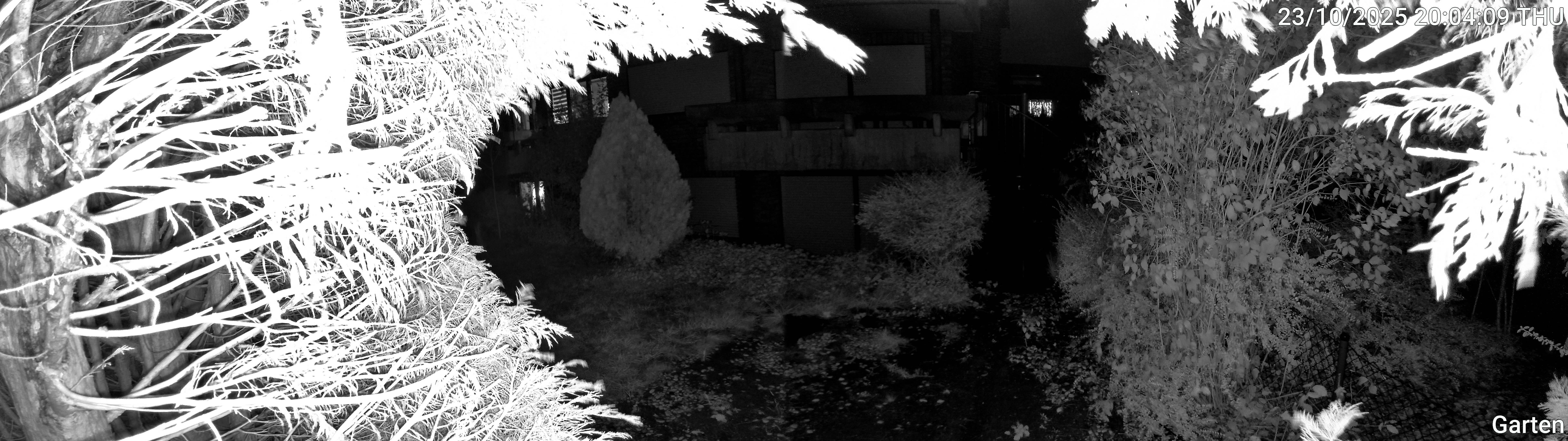 Garten_00_20251023200409.jpg