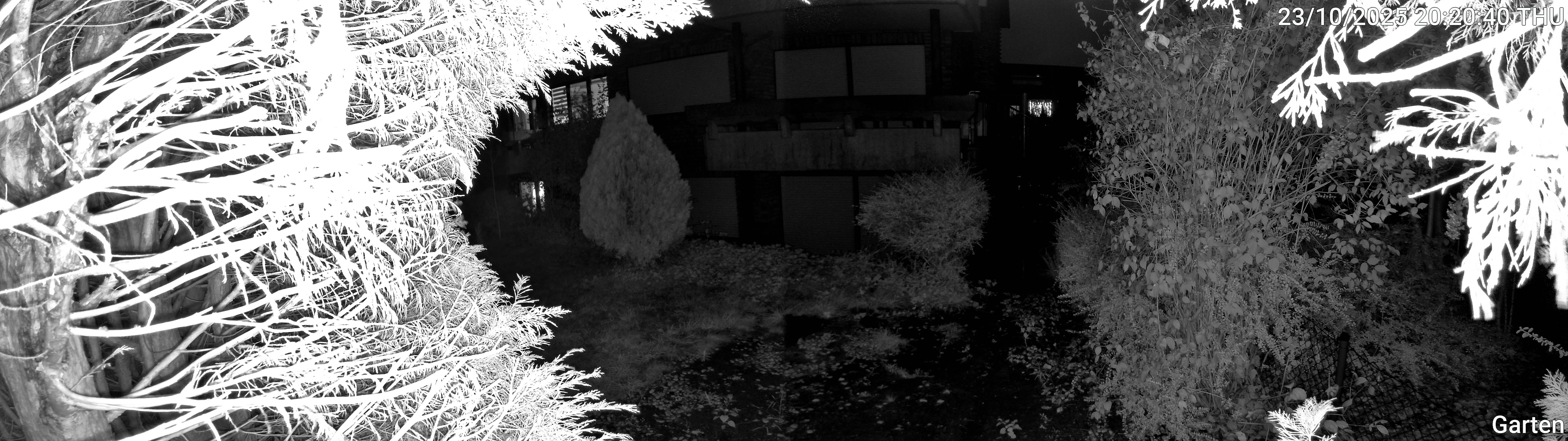 Garten_00_20251023202040.jpg