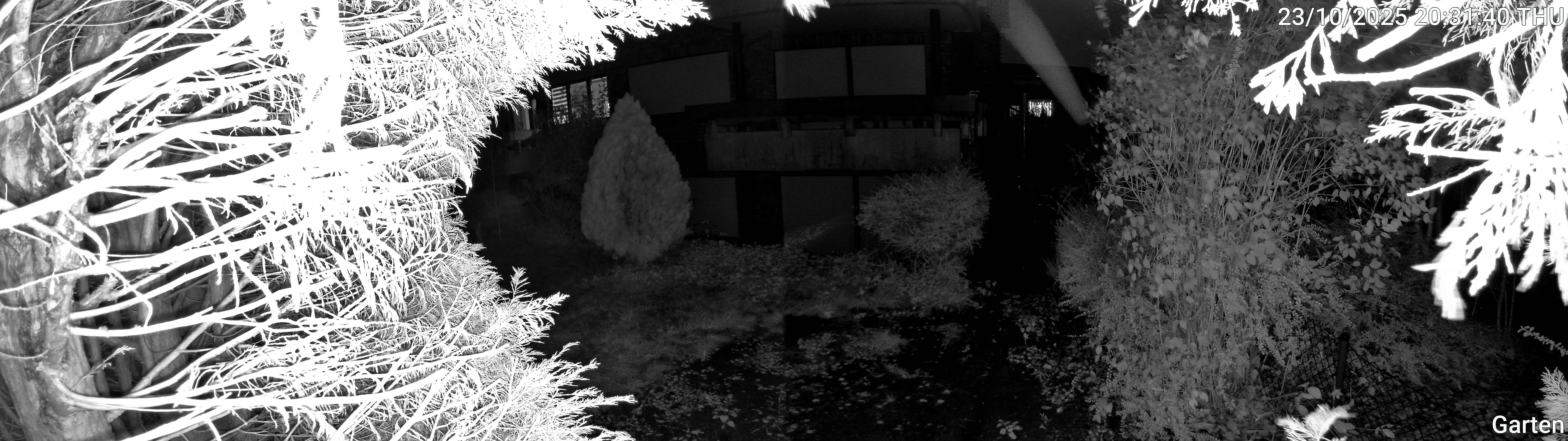 Garten_00_20251023203140.jpg