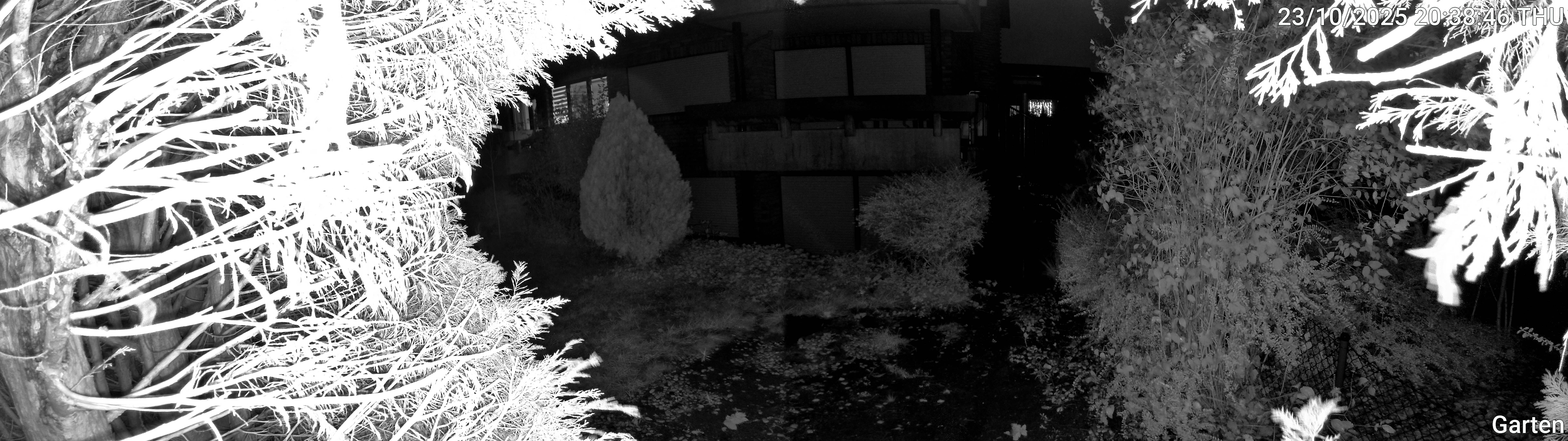 Garten_00_20251023203846.jpg