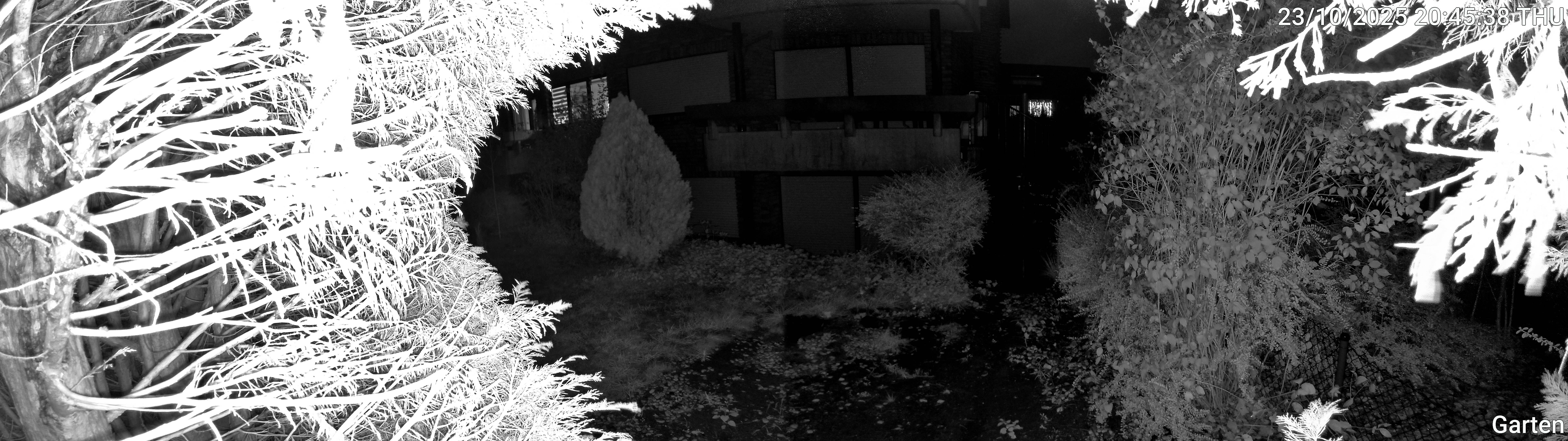 Garten_00_20251023204538.jpg
