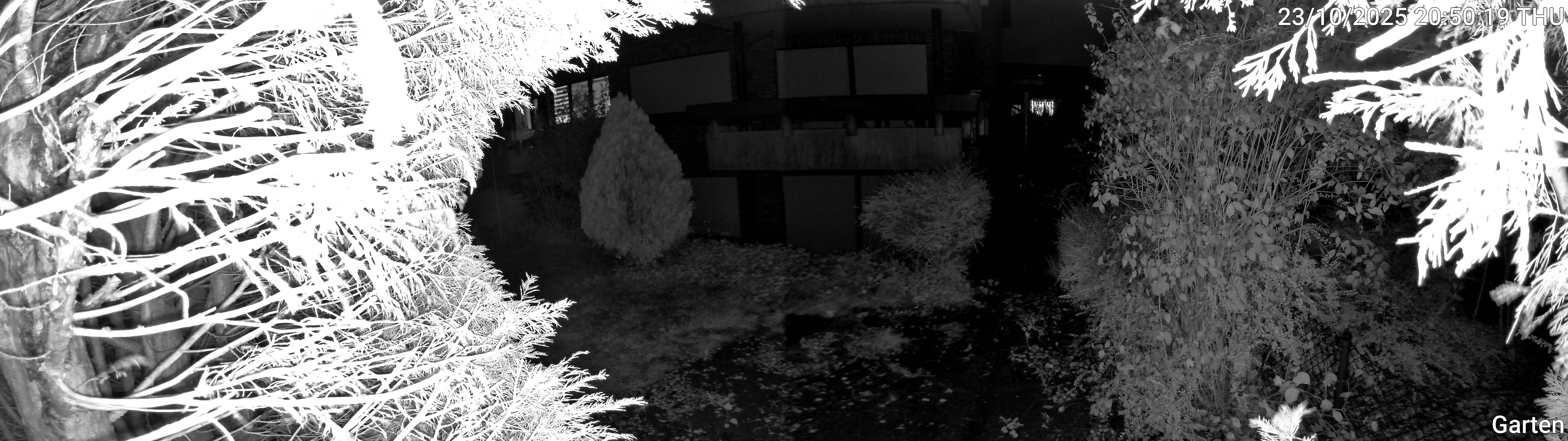 Garten_00_20251023205019.jpg