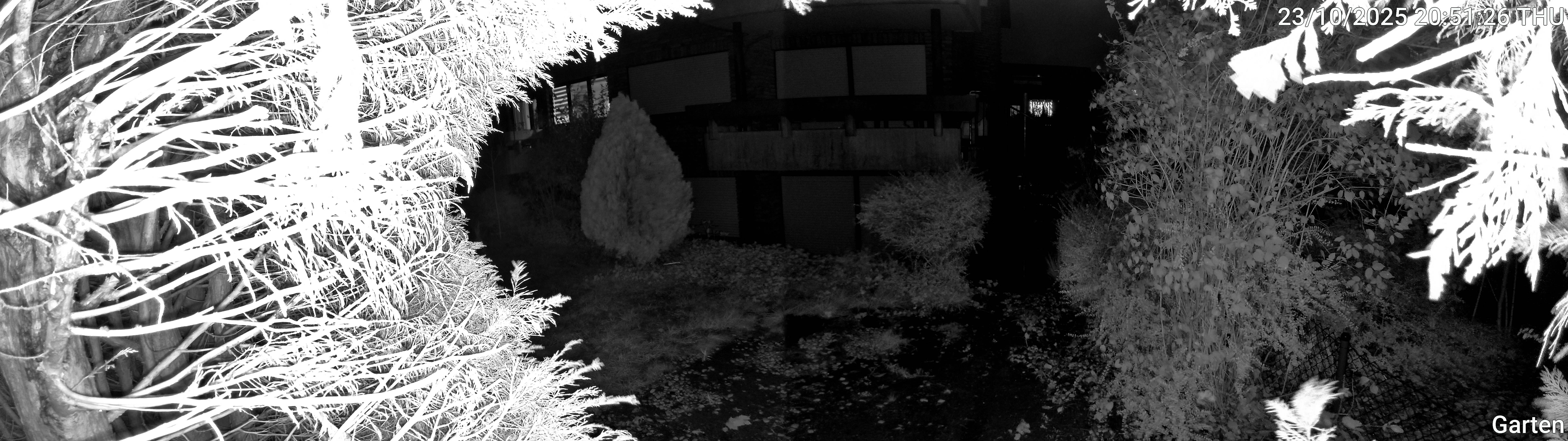 Garten_00_20251023205126.jpg