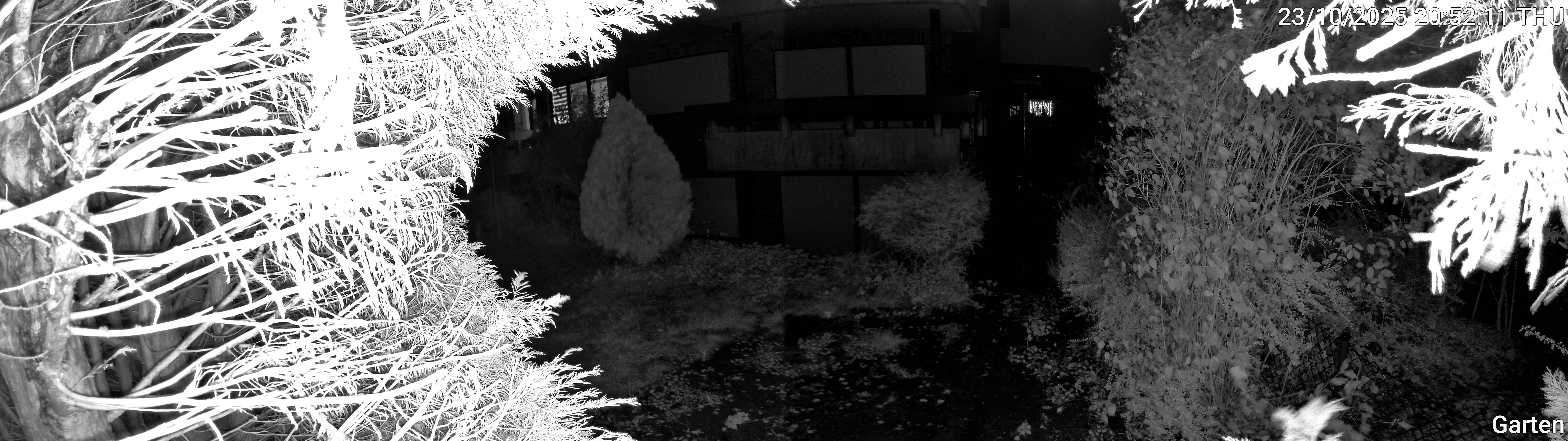 Garten_00_20251023205211.jpg