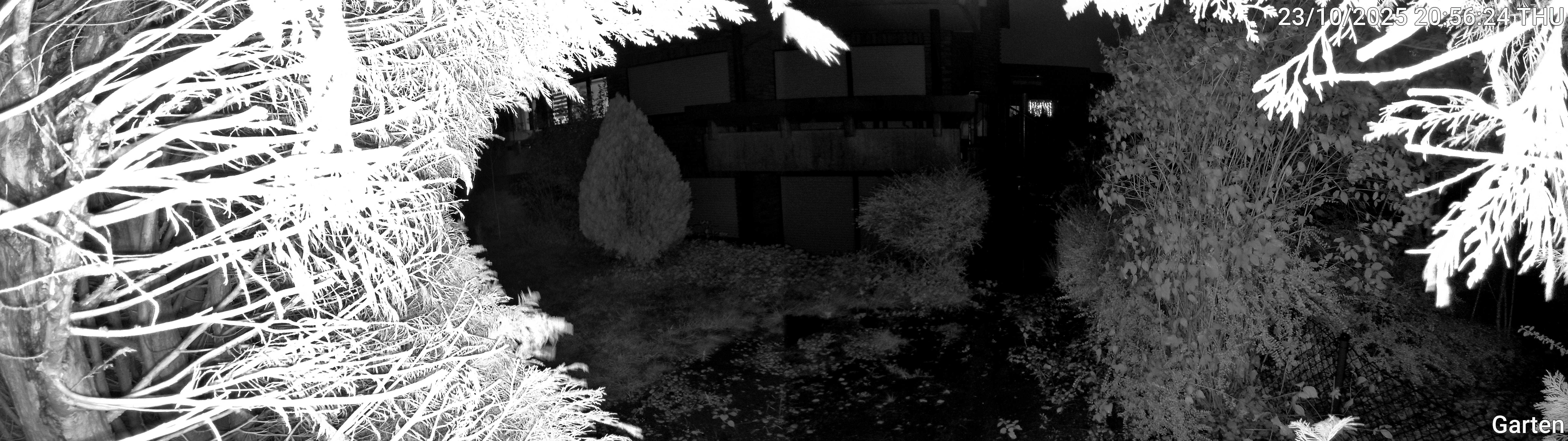 Garten_00_20251023205624.jpg