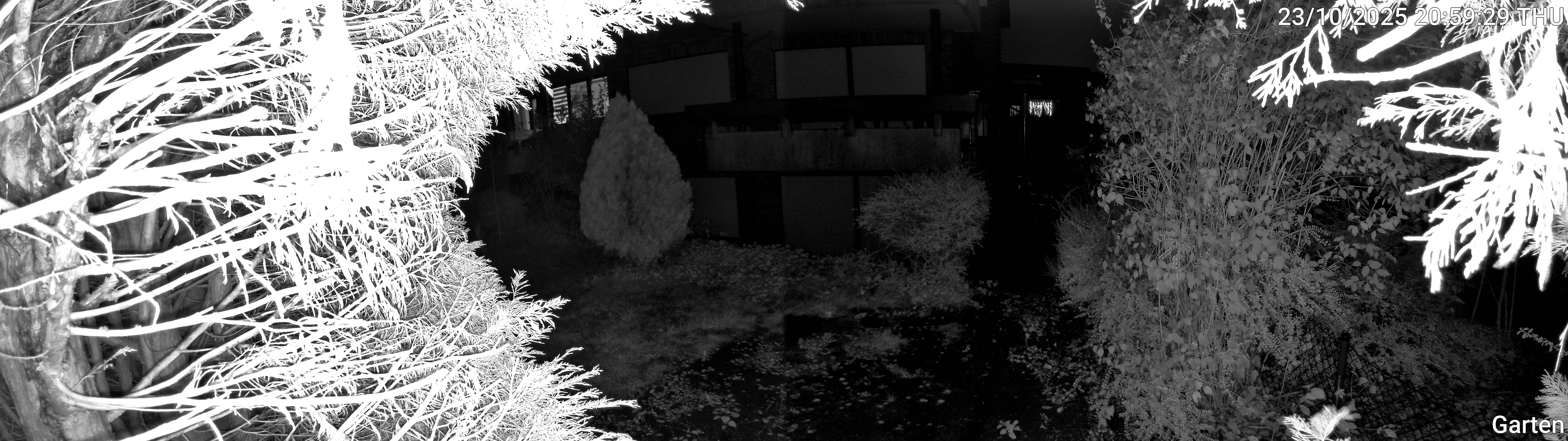 Garten_00_20251023205929.jpg