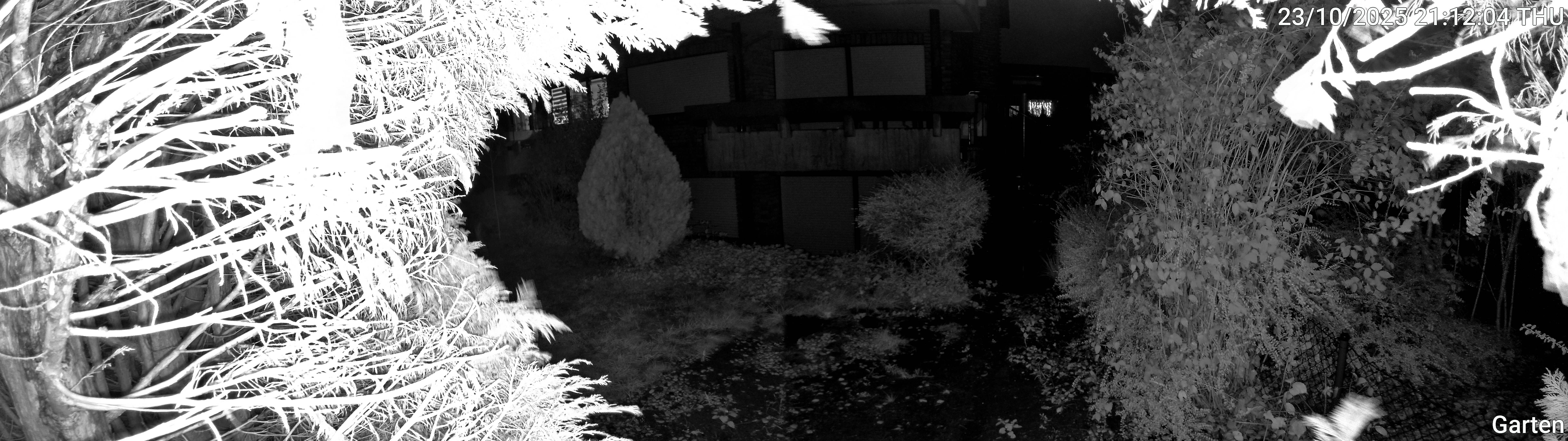 Garten_00_20251023211204.jpg