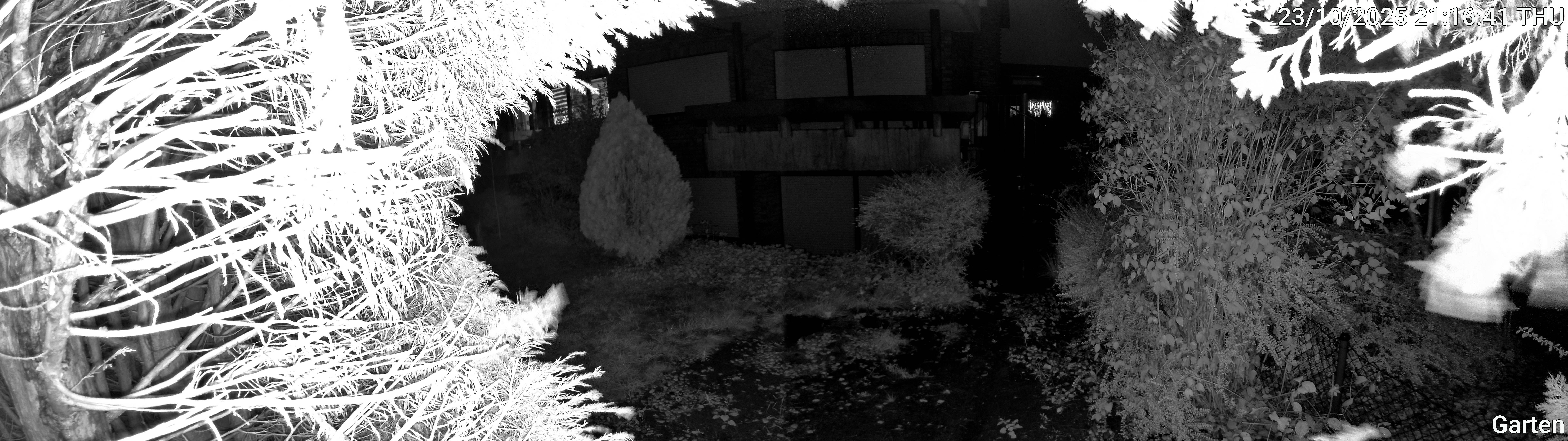 Garten_00_20251023211642.jpg
